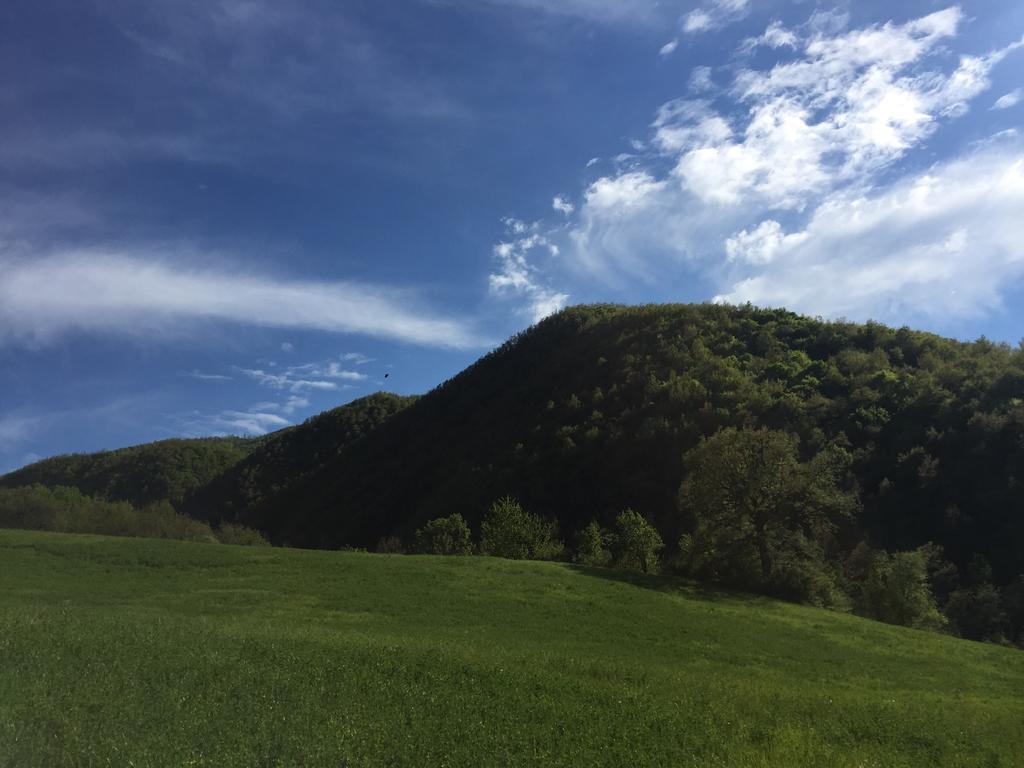 Agriturismo La Ferraia Pianello  Экстерьер фото
