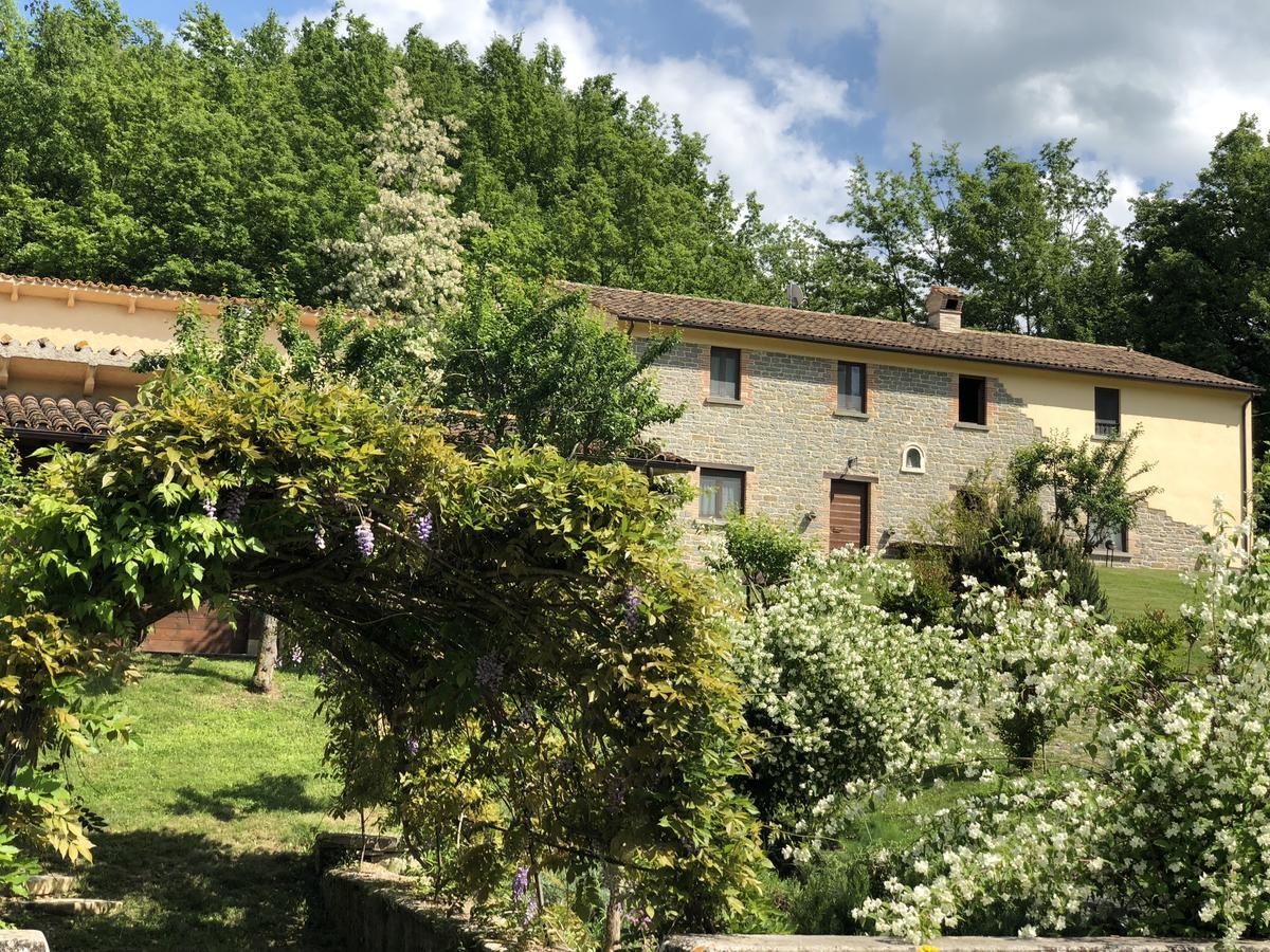 Agriturismo La Ferraia Pianello  Экстерьер фото