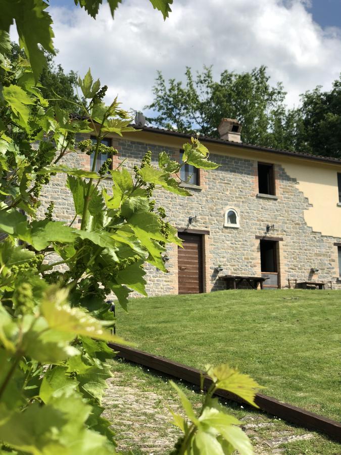 Agriturismo La Ferraia Pianello  Экстерьер фото